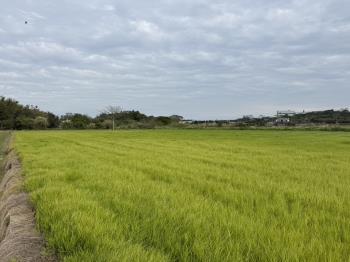 新屋農地田園生活