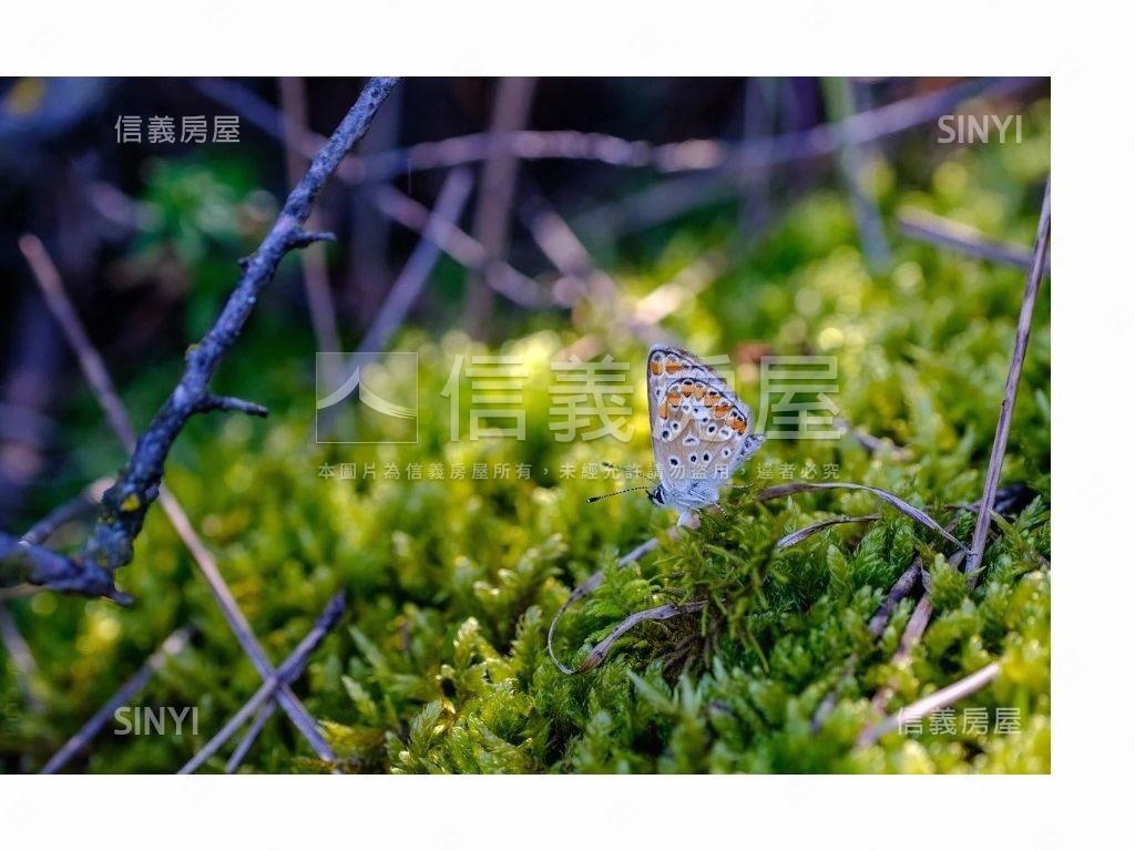 苗栗南庄土地約９８６坪房屋室內格局與周邊環境