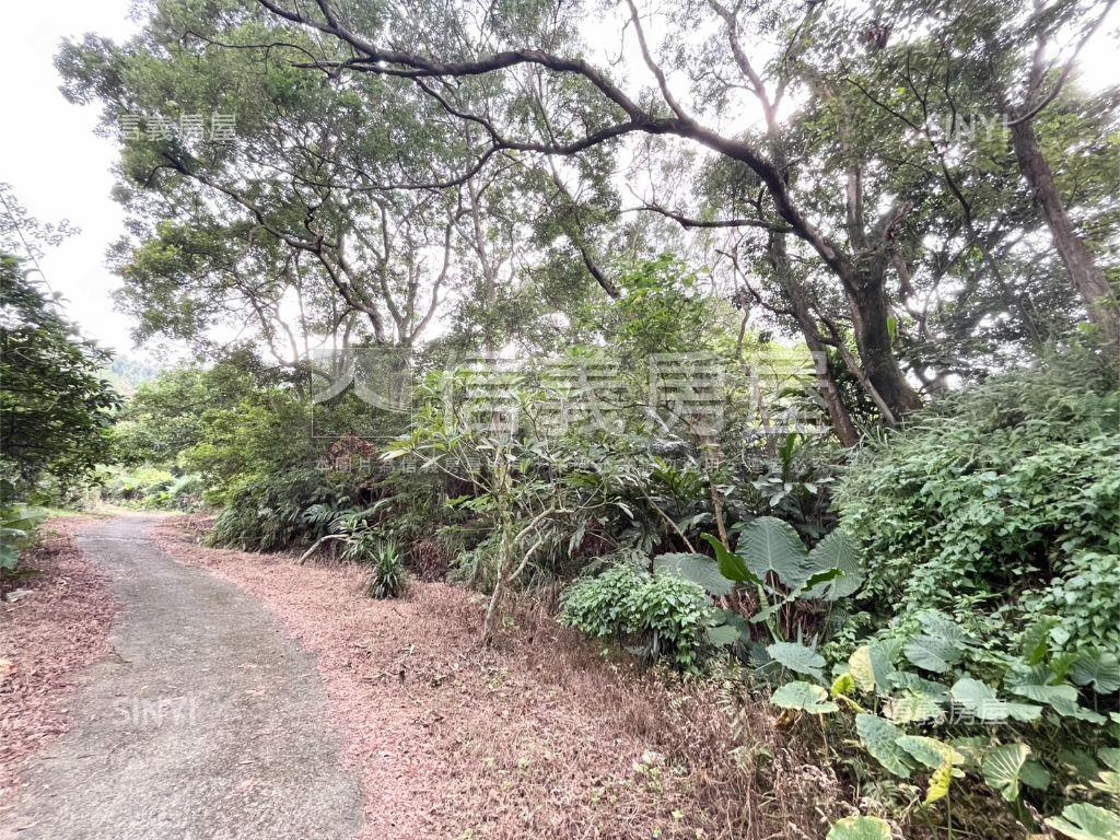 土城建安土地６房屋室內格局與周邊環境