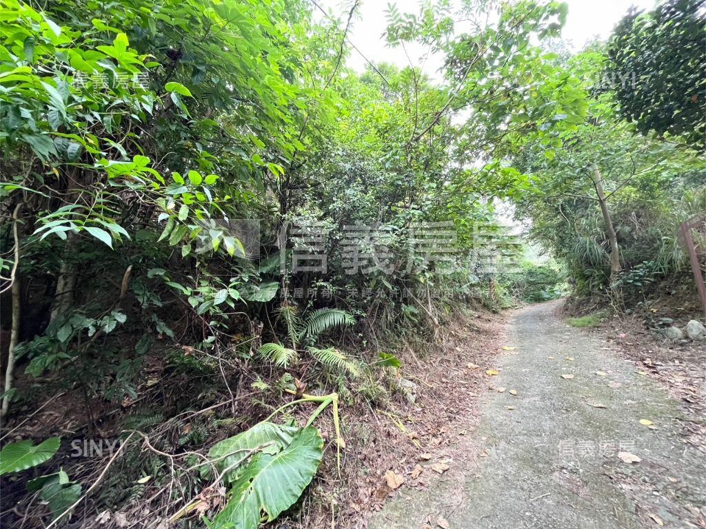 土城建安土地６房屋室內格局與周邊環境