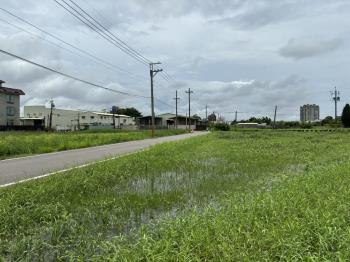 歸仁近大灣臨路農地