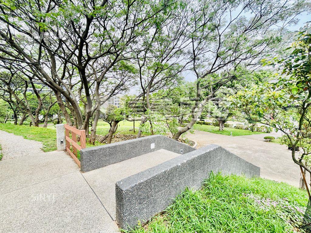 青埔✯橫山Ａ１７兩衛坡平房屋室內格局與周邊環境