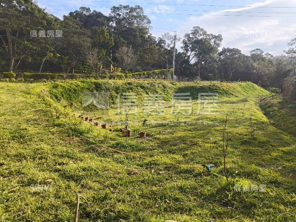 西湖農地房屋室內格局與周邊環境