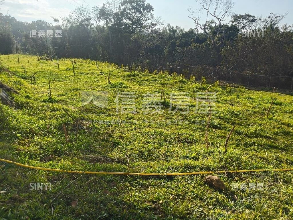 西湖農地房屋室內格局與周邊環境