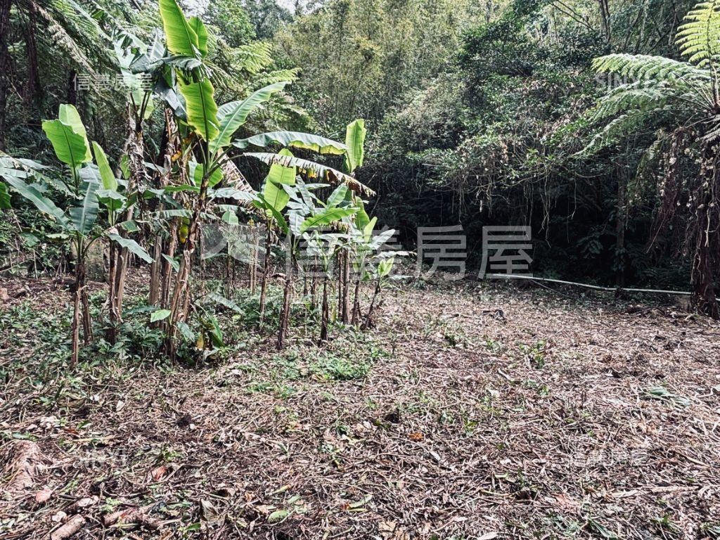 大溪都計內土地壹房屋室內格局與周邊環境