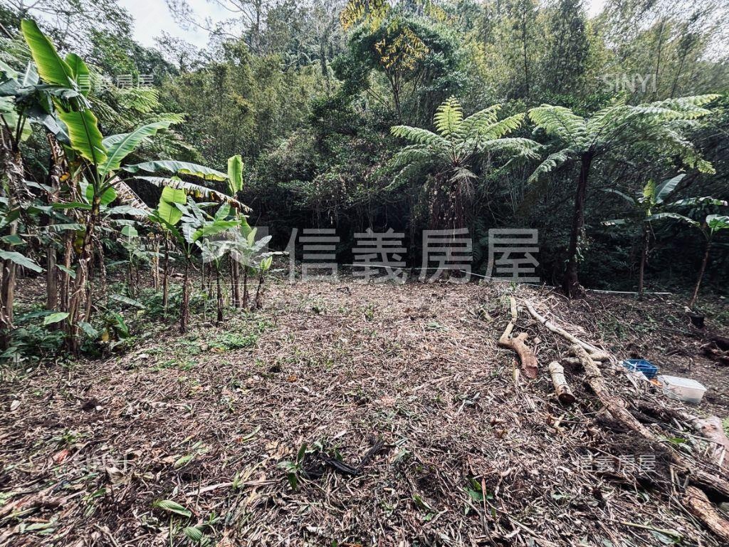 大溪都計內土地壹房屋室內格局與周邊環境