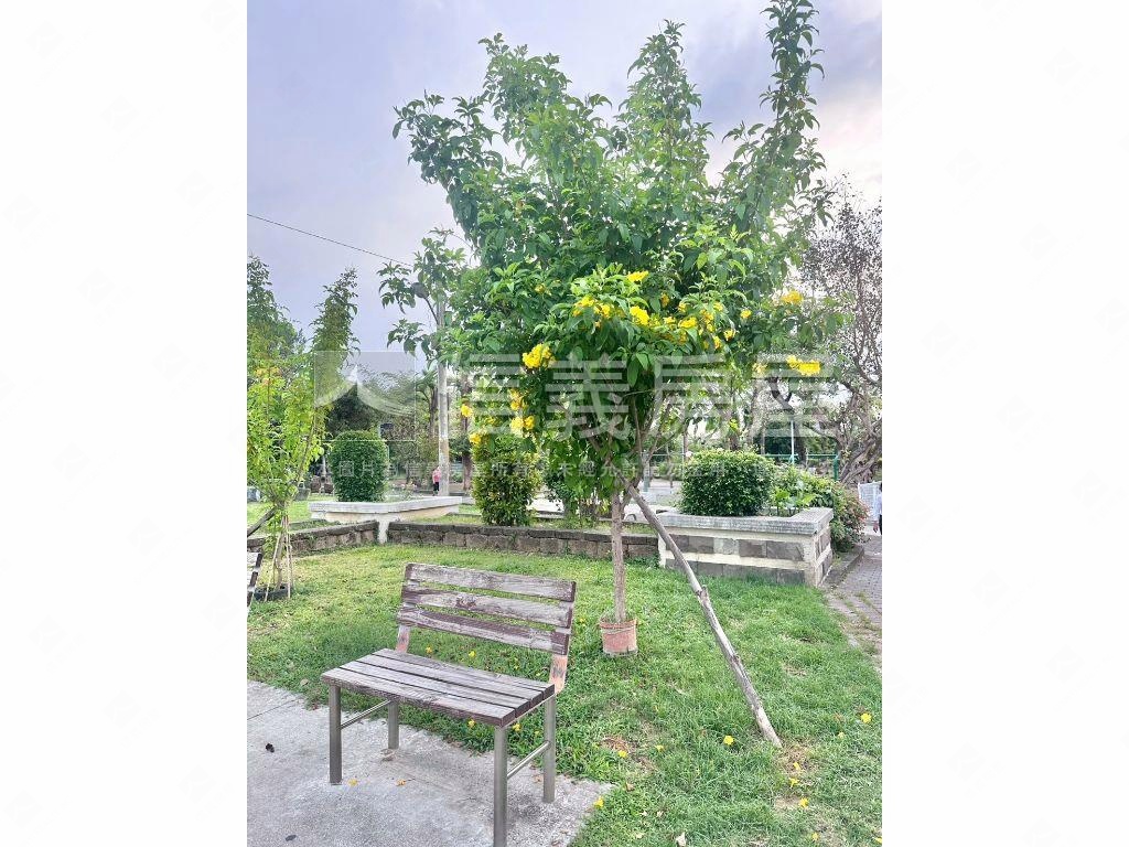 好來一街臨路透天房屋室內格局與周邊環境