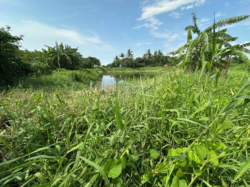 橋頭接梓官兩千五百坪農地房屋室內格局與周邊環境