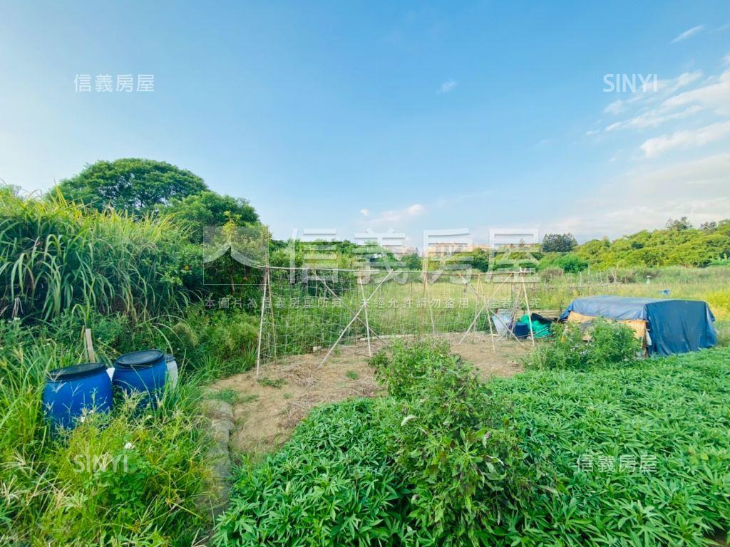 天生段重劃土地三房屋室內格局與周邊環境