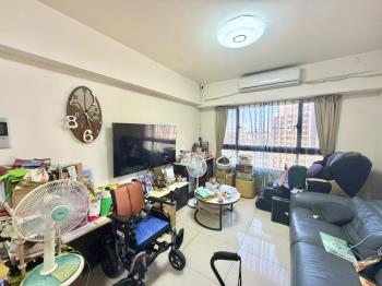 稀有釋出天琴景觀三房車位