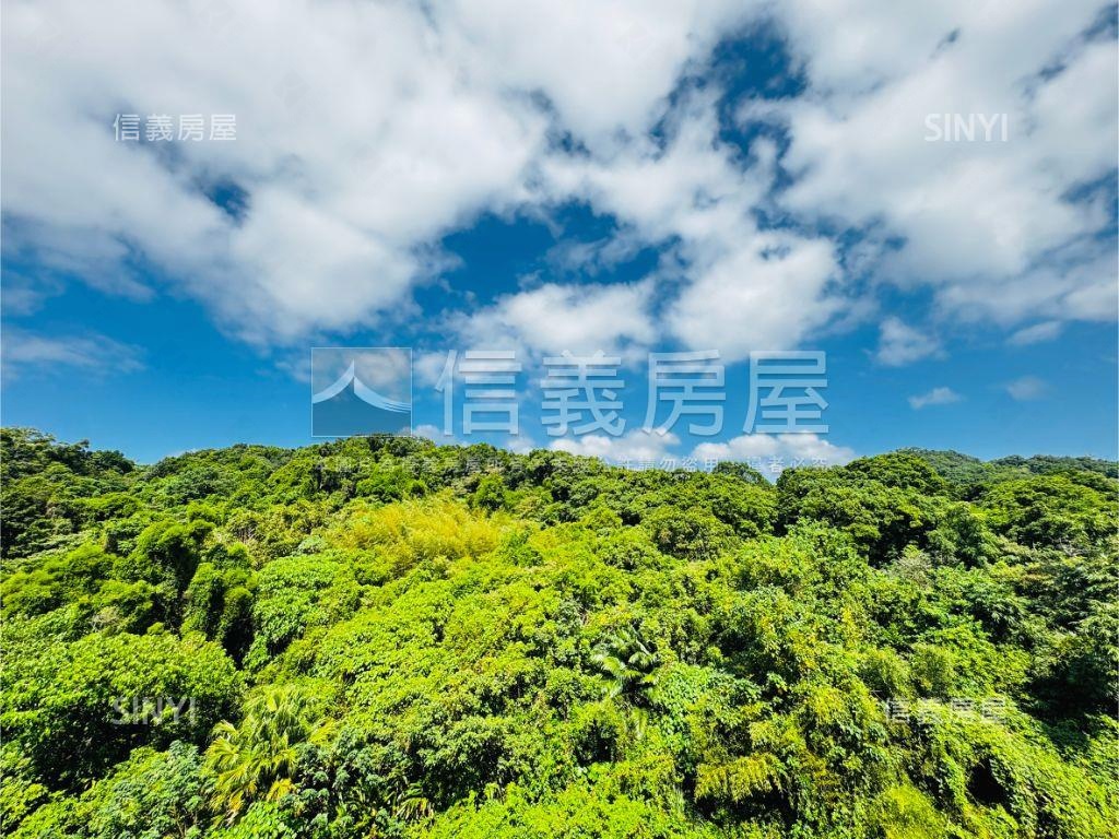 專任森呼吸上隱滿綠意豪邸房屋室內格局與周邊環境