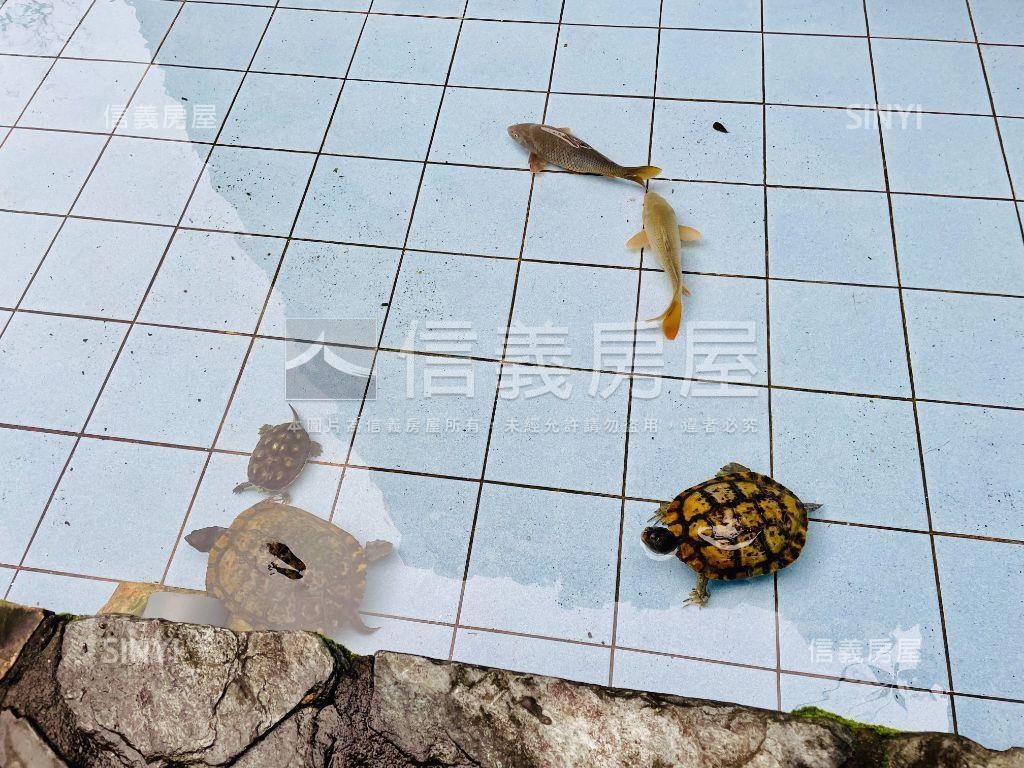 捷運低總價電梯社區四房房屋室內格局與周邊環境