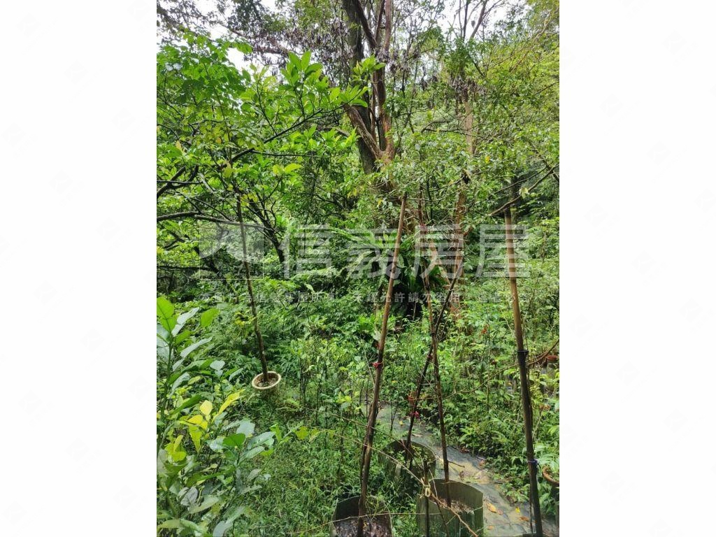 石碇頂紙寮坑土地房屋室內格局與周邊環境