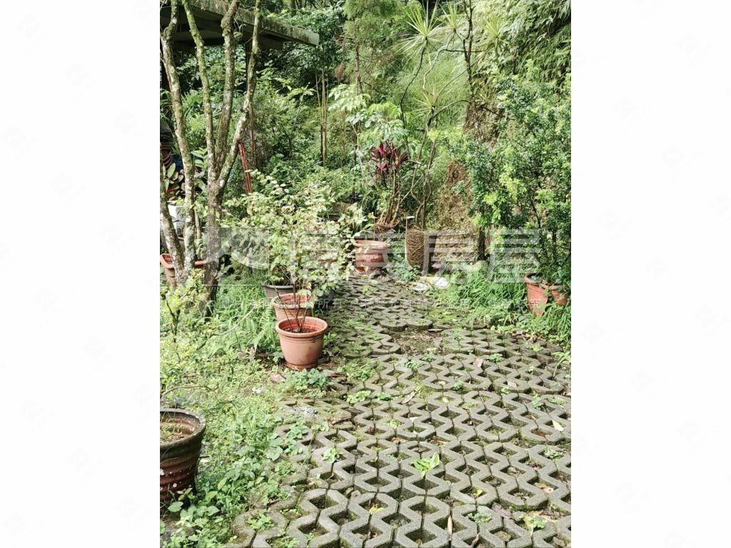 石碇頂紙寮坑土地房屋室內格局與周邊環境