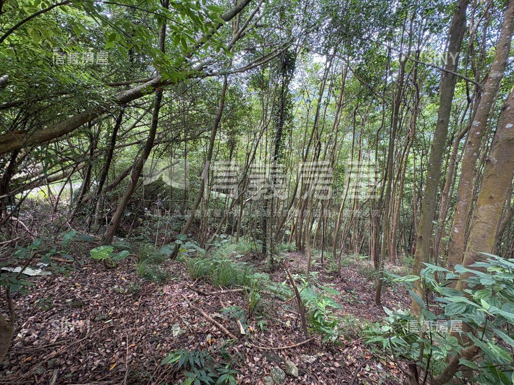 研究院路三段千坪土地房屋室內格局與周邊環境