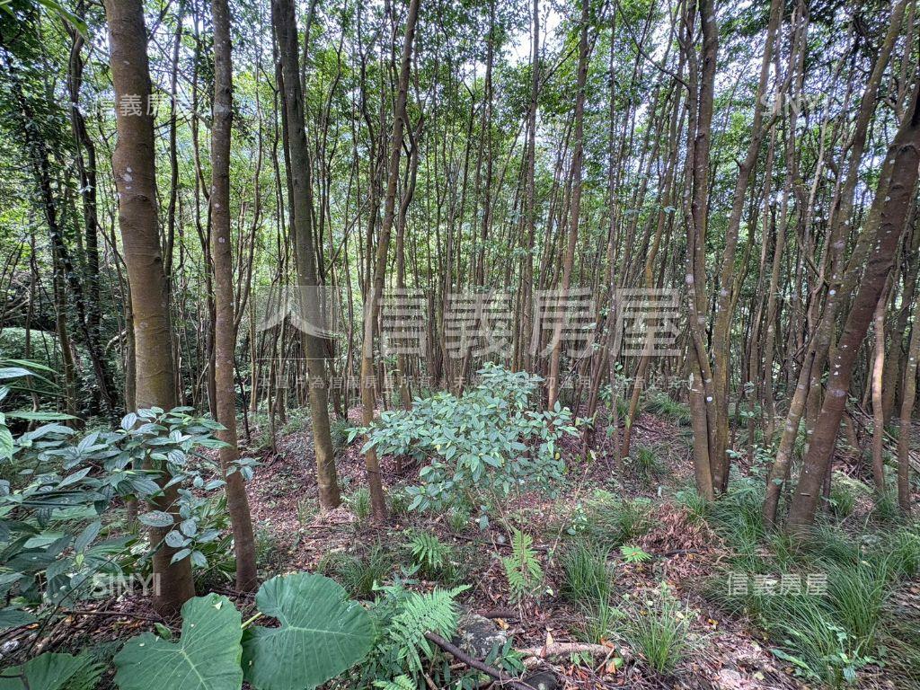 研究院路三段千坪土地房屋室內格局與周邊環境