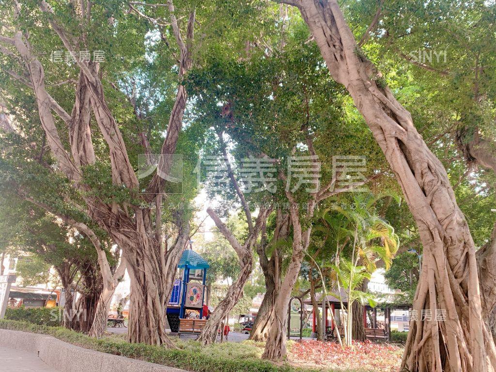 東豐街高投報車位房屋室內格局與周邊環境