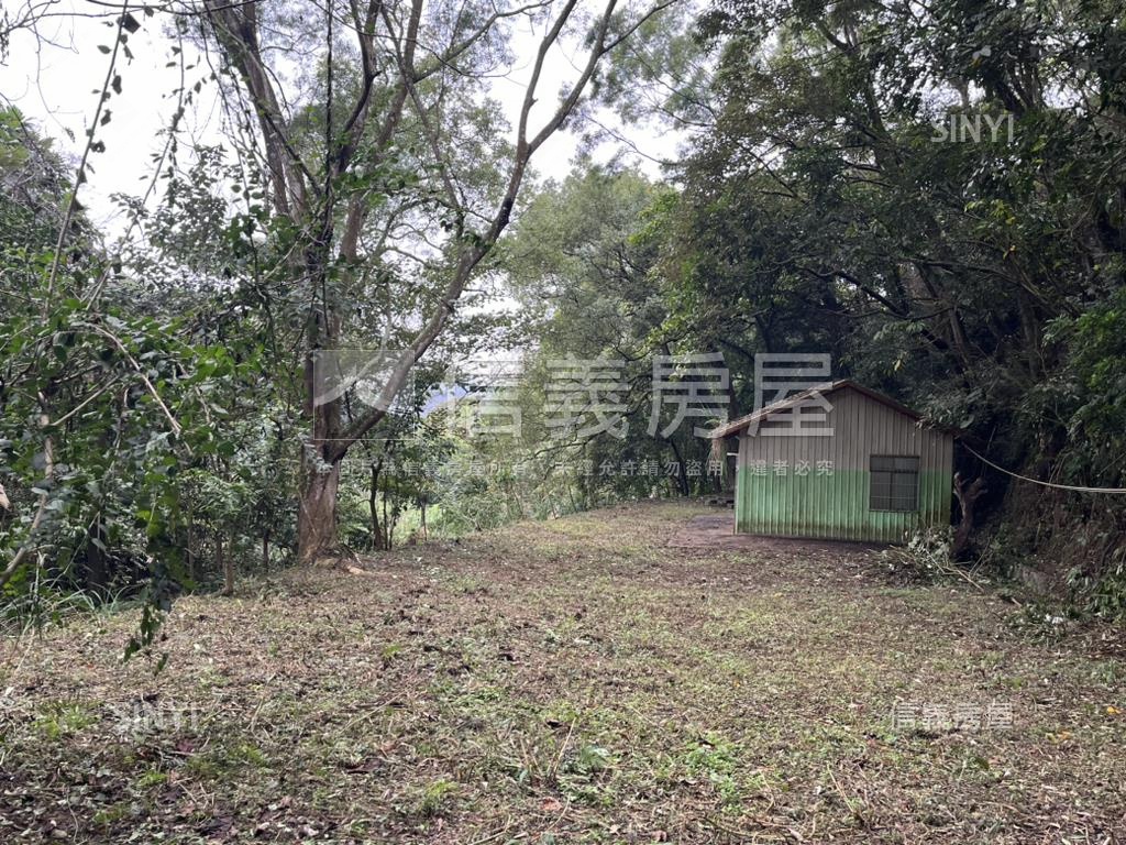 苗栗南庄農牧土地７６８坪房屋室內格局與周邊環境