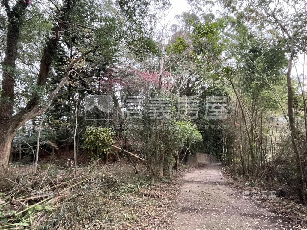 苗栗南庄農牧土地７６８坪房屋室內格局與周邊環境