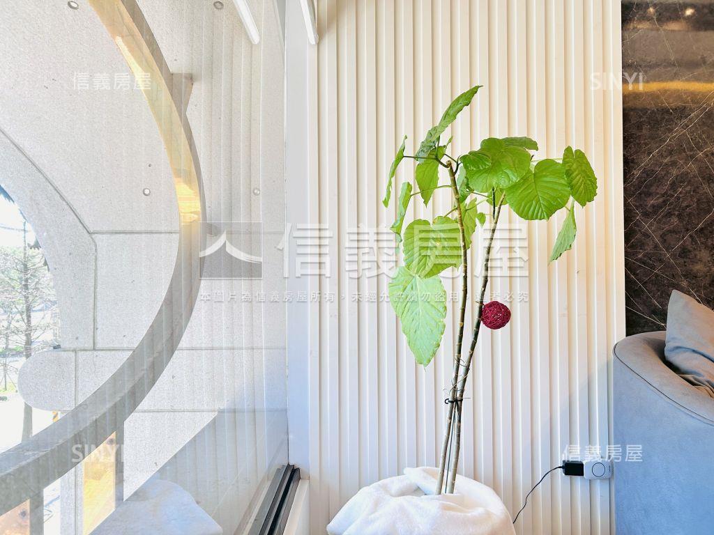 帝一莊Ａ１７黃金店面房屋室內格局與周邊環境