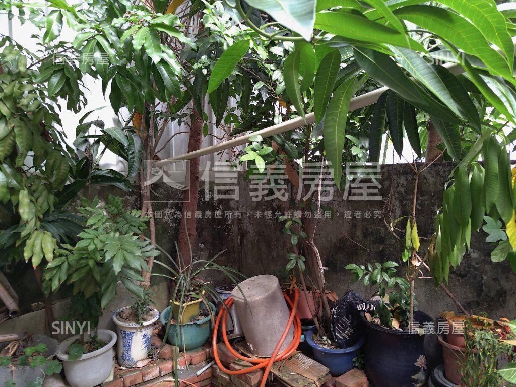 新營健康路臨路懷舊透天房屋室內格局與周邊環境