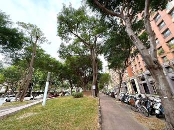 近曉明女中美公寓