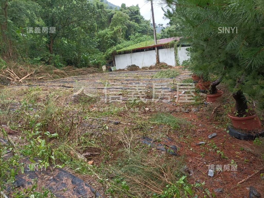 埔里土地丙建稀有釋出房屋室內格局與周邊環境