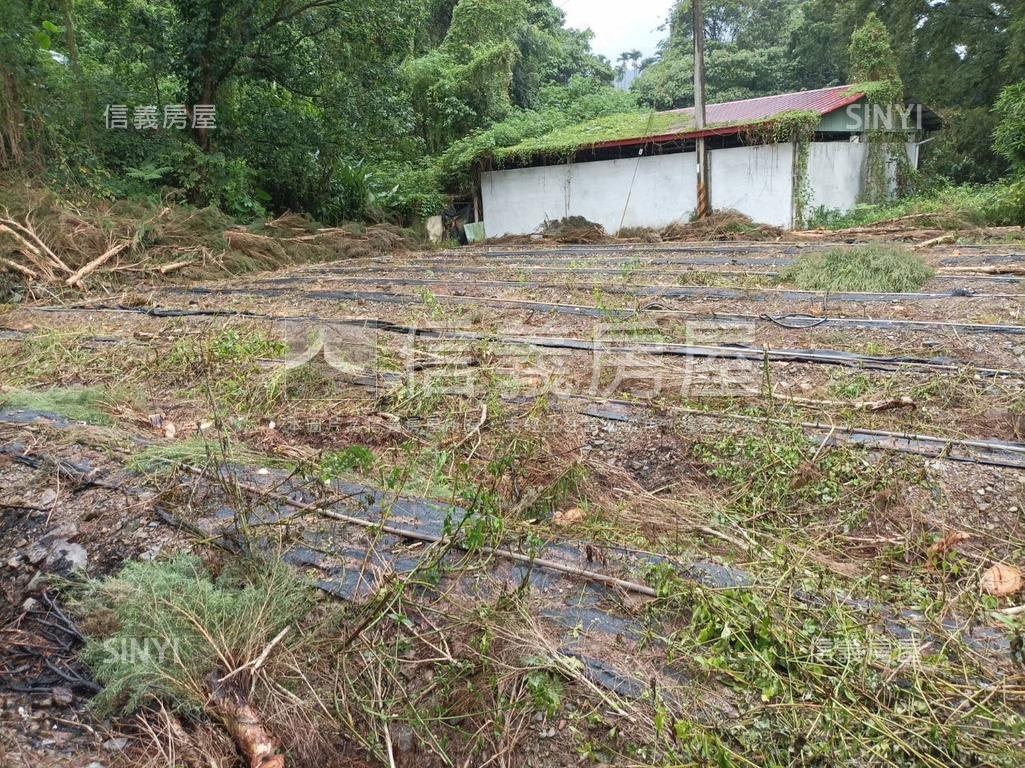 埔里土地丙建稀有釋出房屋室內格局與周邊環境