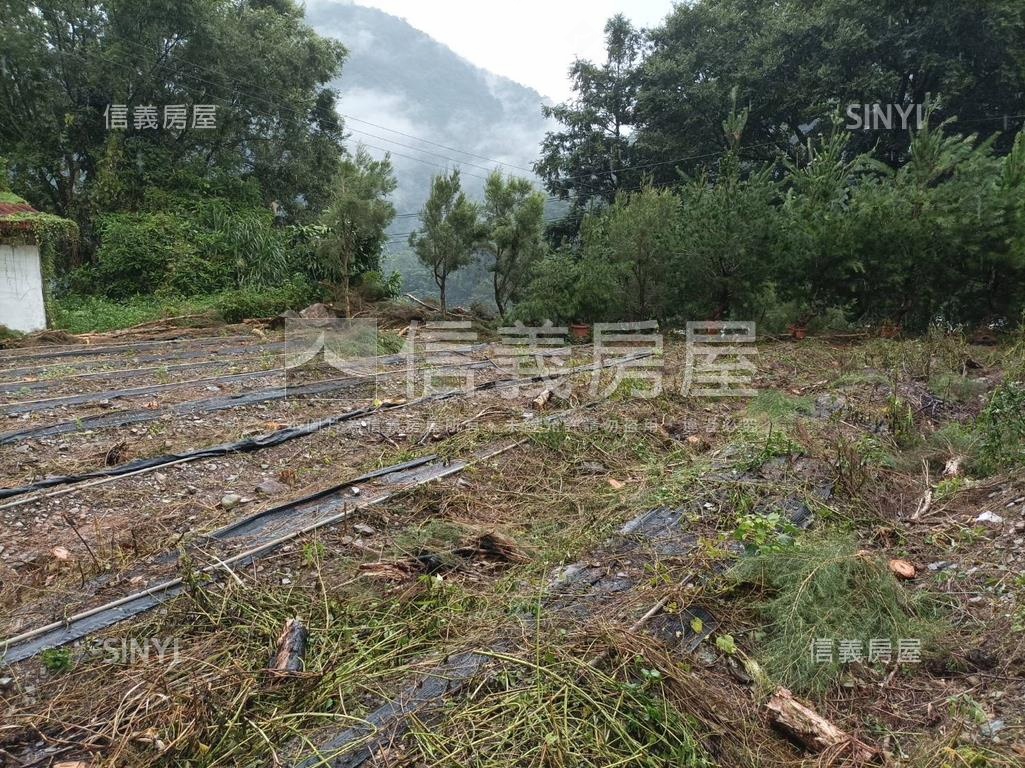 埔里土地丙建稀有釋出房屋室內格局與周邊環境