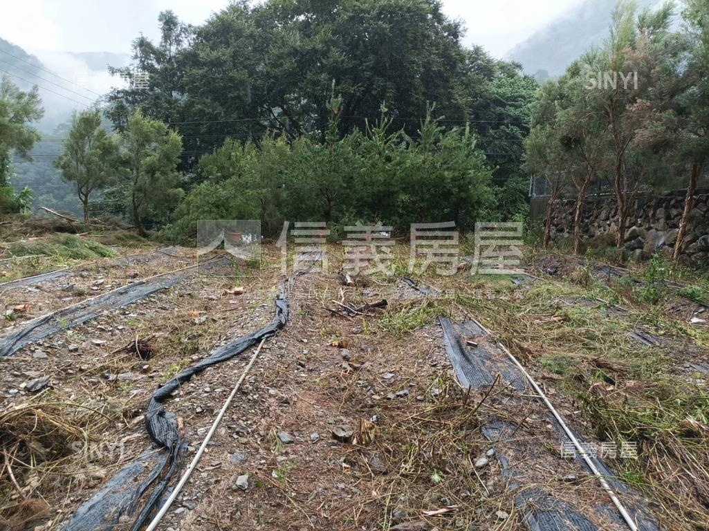 埔里土地丙建稀有釋出房屋室內格局與周邊環境