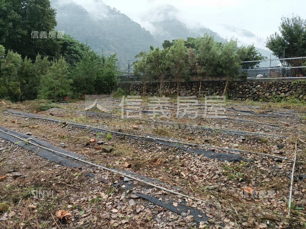 埔里土地丙建稀有釋出房屋室內格局與周邊環境