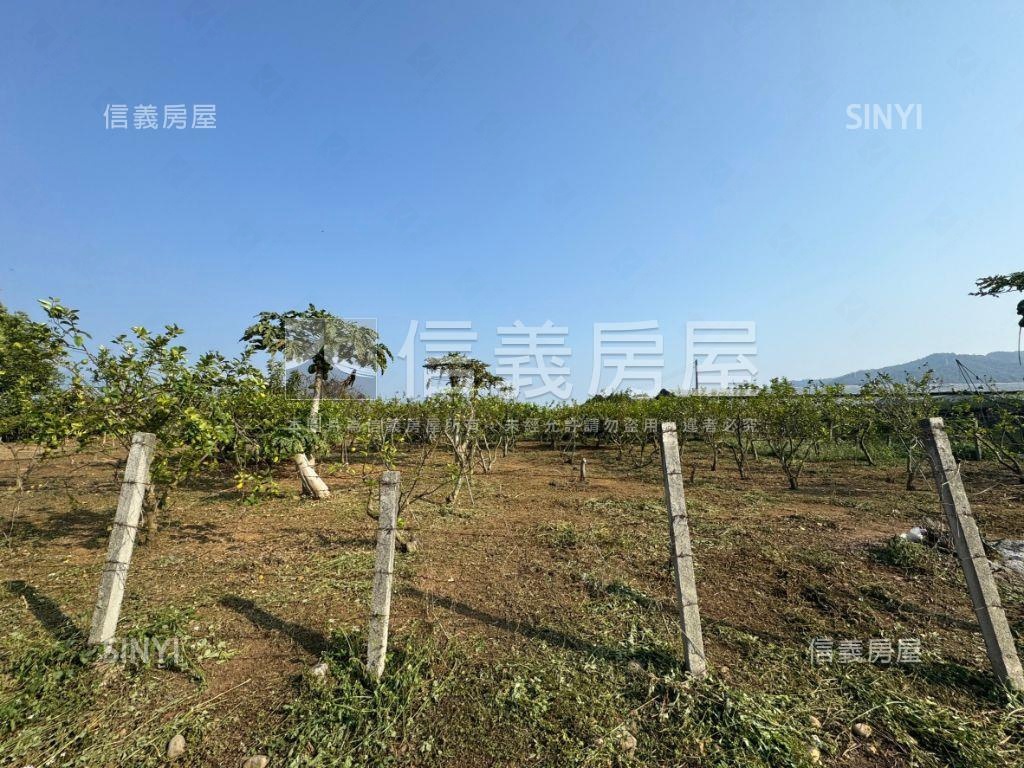 新社方正坪效佳美農地房屋室內格局與周邊環境