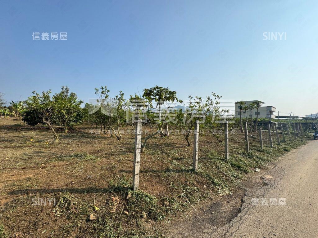 新社方正坪效佳美農地房屋室內格局與周邊環境