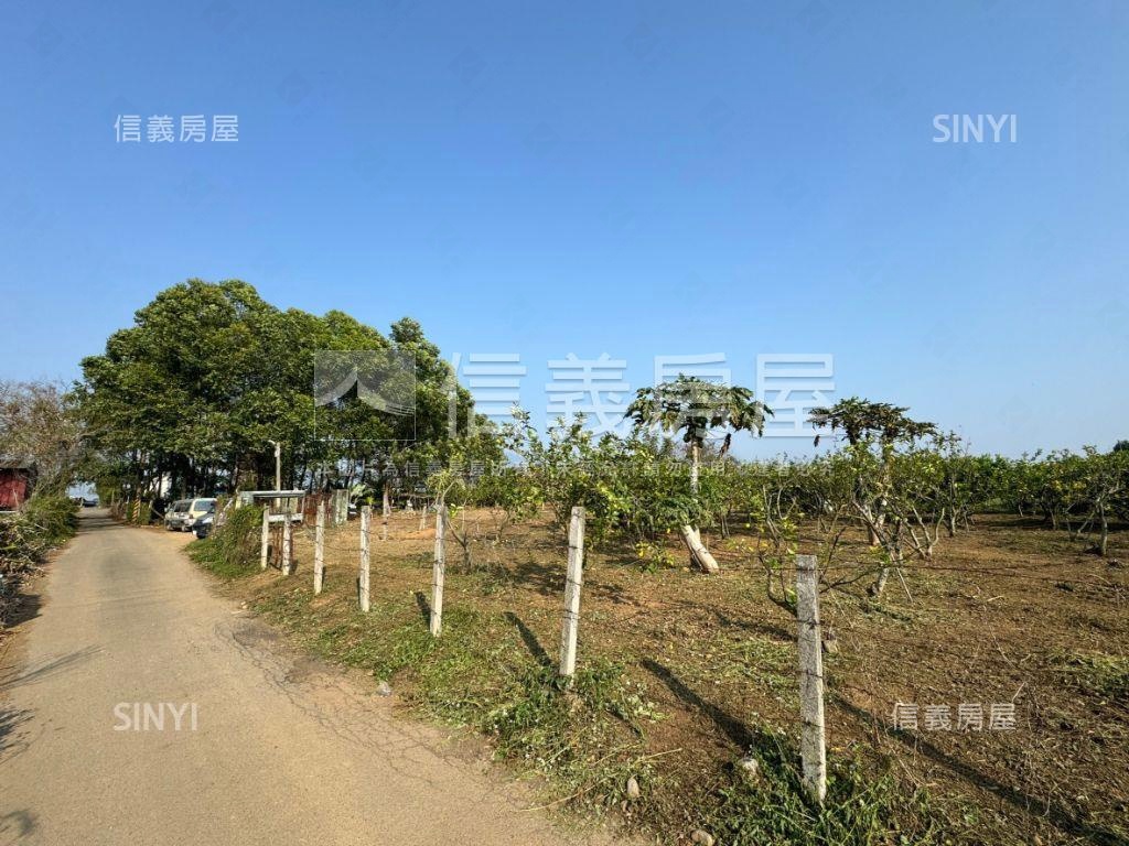 新社方正坪效佳美農地房屋室內格局與周邊環境