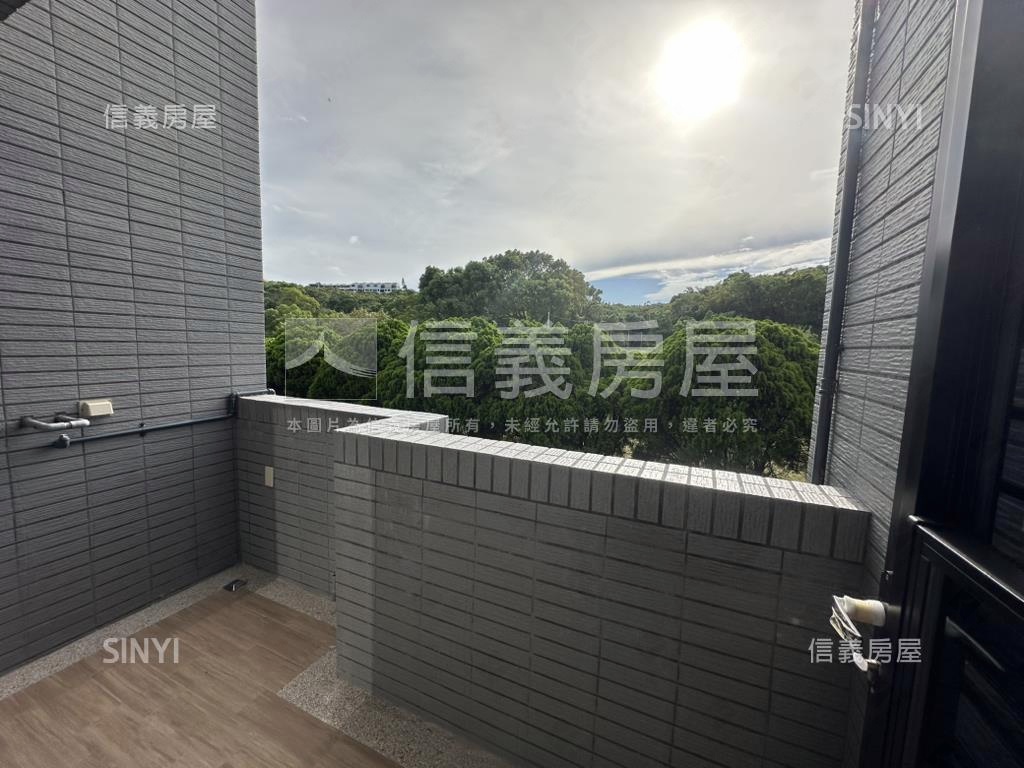 國雄仰德大道全新電梯別墅房屋室內格局與周邊環境