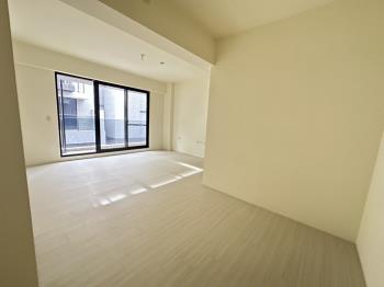 國雄仰德大道全新電梯別墅