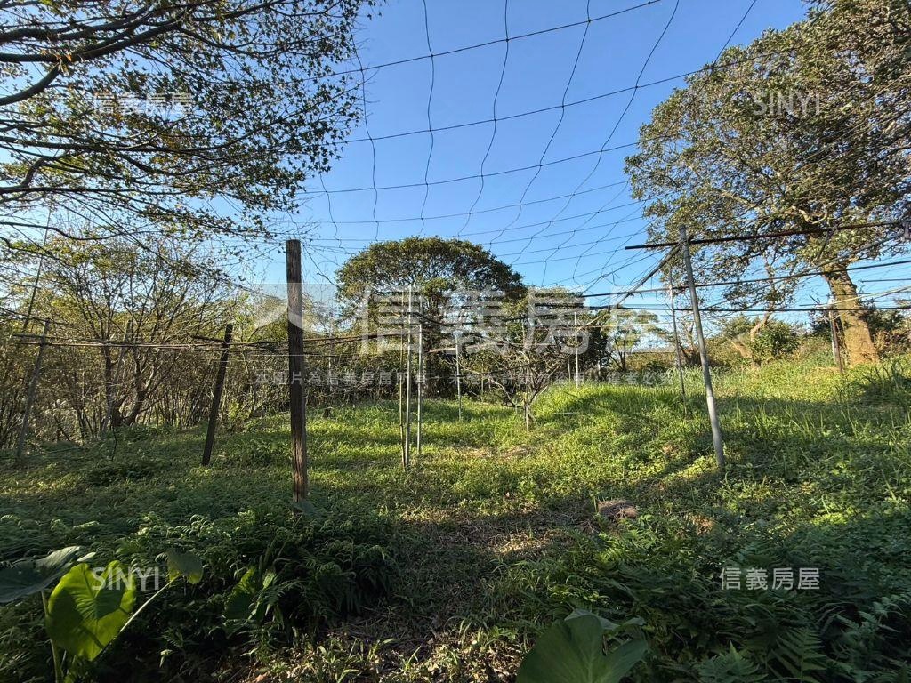 有水有電臨路平坦農地房屋室內格局與周邊環境