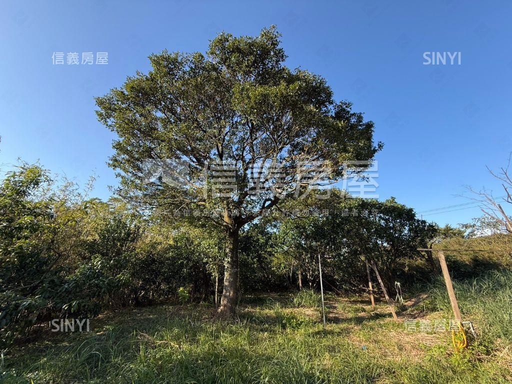 有水有電臨路平坦農地房屋室內格局與周邊環境