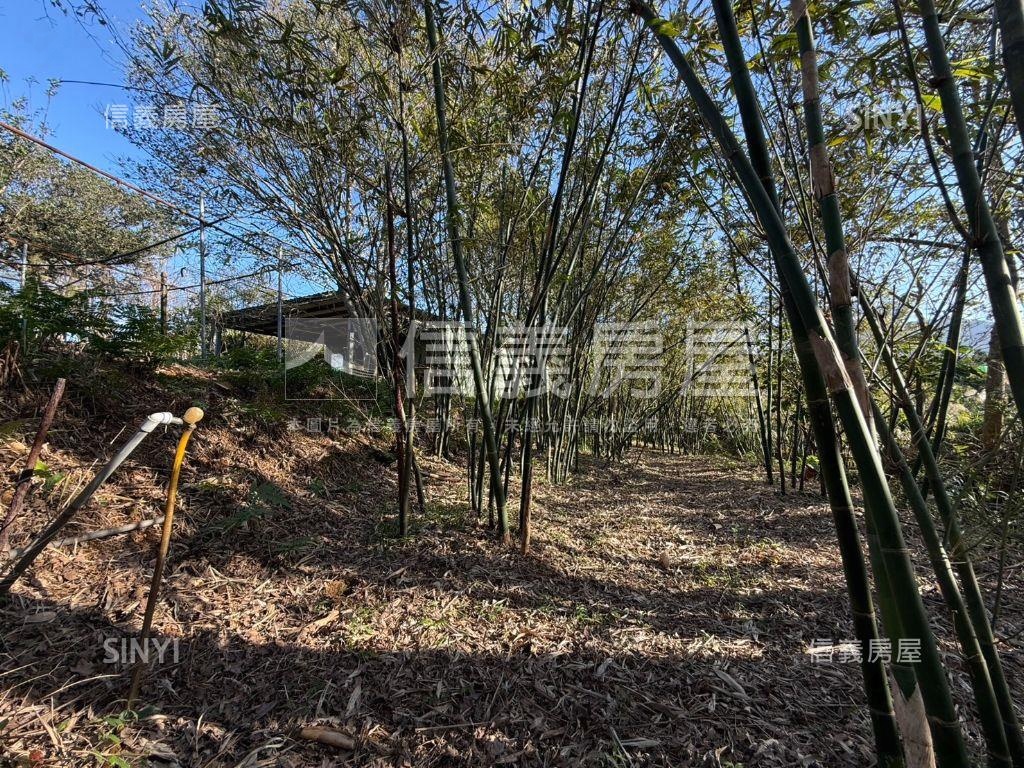 有水有電臨路平坦農地房屋室內格局與周邊環境