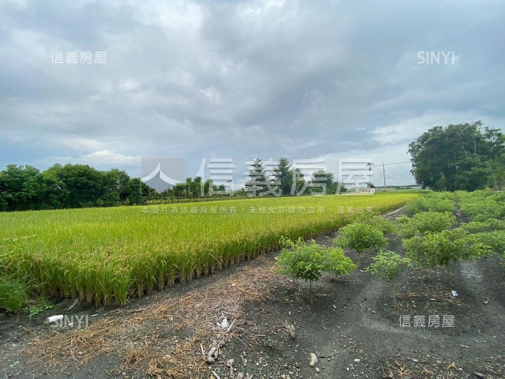 龍年吉祥。溪州寶地房屋室內格局與周邊環境