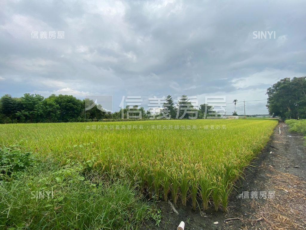 龍年吉祥。溪州寶地房屋室內格局與周邊環境