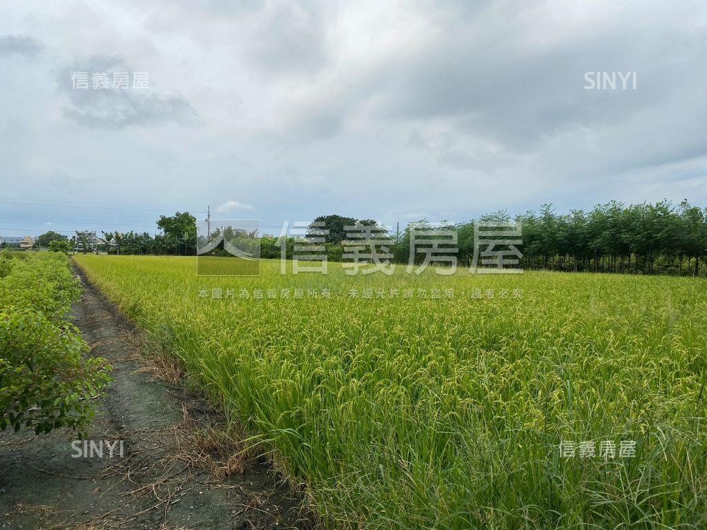 彰化溪州特農地房屋室內格局與周邊環境