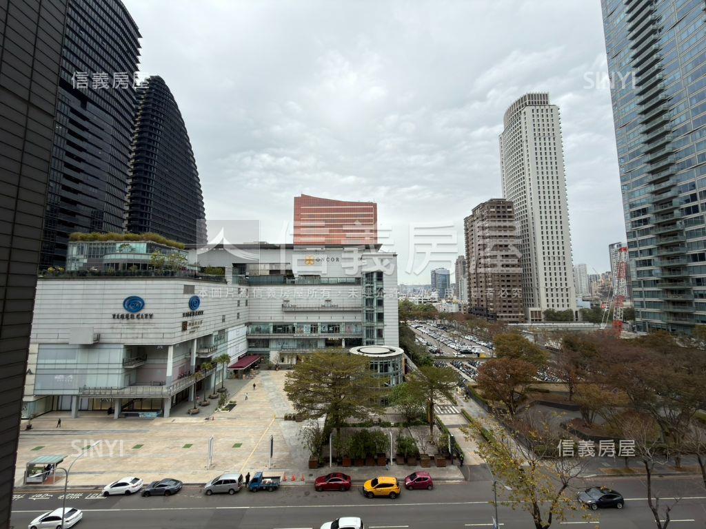 市政１０１面老虎城小豪宅房屋室內格局與周邊環境