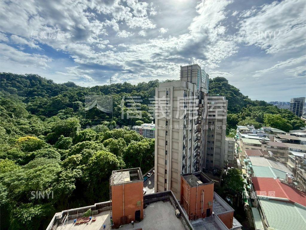 潤泰大安富陽高樓露台戶房屋室內格局與周邊環境