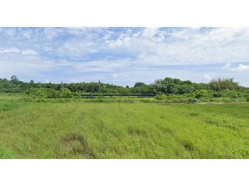 關廟區埤頭段２．５５分地