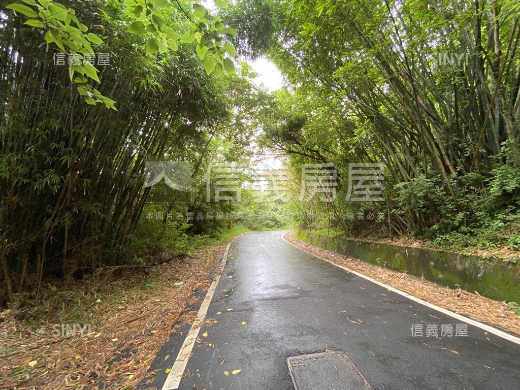 近景觀大道大坪數土地房屋室內格局與周邊環境