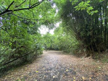 近景觀大道大坪數土地