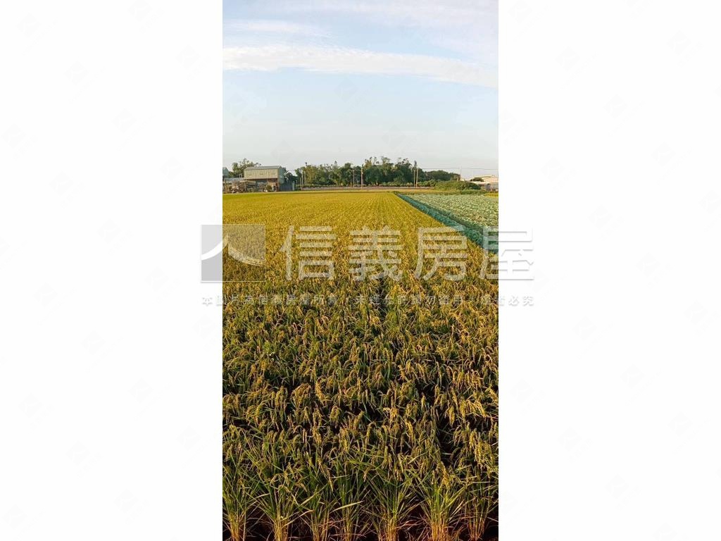 竹塘永基農牧地約３分房屋室內格局與周邊環境