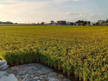 竹塘永基農牧地約３分