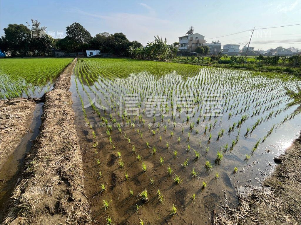 夏田產業園區美農地房屋室內格局與周邊環境